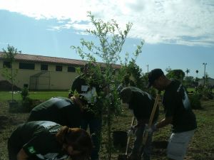 Operation Green Leaves' Team at CFBSF Tree planting